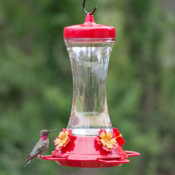 Perky-Pet® Adjustable Perch Glass Hummingbird Feeder 20 oz. (20 oz.)