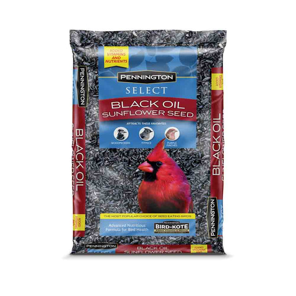 Pennington Select Black Oil Sunflower Seed 10 lbs (10 lbs)